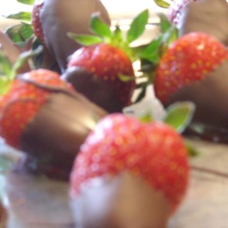 Hotel Bacco Rooms&Breakfast Pietra Ligure Esterno foto