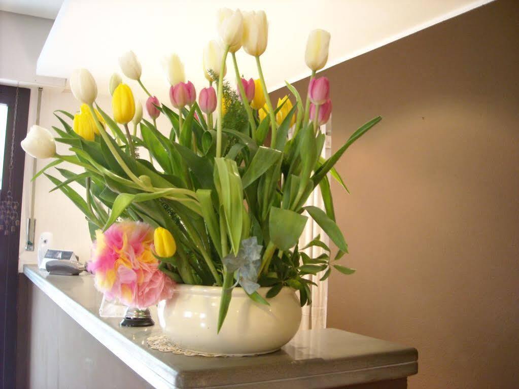 Hotel Bacco Rooms&Breakfast Pietra Ligure Esterno foto